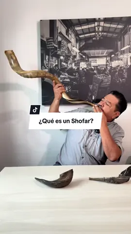 ¿Que es un Shofar?  #arqueologiabiblica #arqueologia #shofar #trompeta #coleccion 