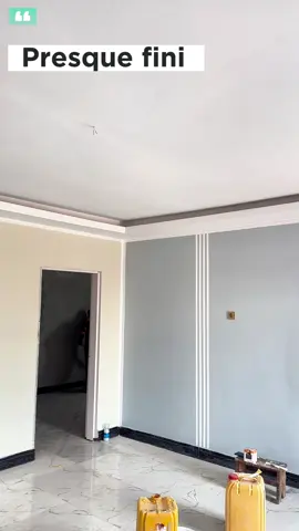Meilleure couleur à peindre au salon.#decoration #peinture 