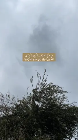 #تصميم_فيديوهات #اكسبلور 