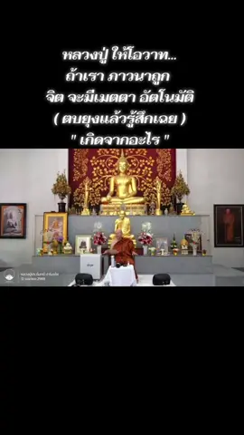 ภาวนาถูก จิตจะมีเมตตา #ปฏิบัติธรรม  #ศีลสมาธิปัญญา  #พระพุทธศาสนา  #ธรรมะ  #หลวงพ่อปราโมทย์ 