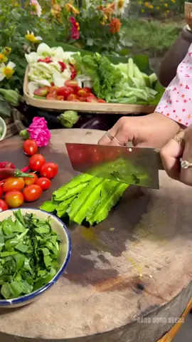 Mua trồng liền cả nhà ơi #hatgiongdaurong #xuhuong 
