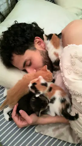 If you ever wanted to know what it’s like to have 6 kittens in your bed😆 #cute #fyp #foryoupage #kittens #kittycat 