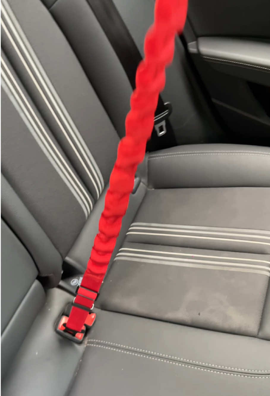 Keep your pup safe on the road with this easy-to-use adjustable dog seatbelt #Dog seatbelt#pettravalsafety #adjustable seatbelt #safepuprides#pets