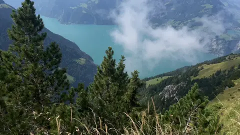 vibe? #nature #vibe #fyp 