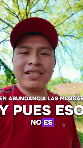 Esto es asqueroso… pero necesitas verlo 🤢🪰 Si tienes moscas en casa, esto las elimina SIN sprays ni químicos. Las Bug & Fly Ribbon Traps las atraen con su aroma… y quedan atrapadas al instante. En pocas horas vas a ver la diferencia (y no vas a querer quitarlas 😳) Pruébalas y dile adiós a las moscas de una vez 🔥 #AntesYDespués #Moscas #ControlDePlagas #TrucoDeCasa #Viral     