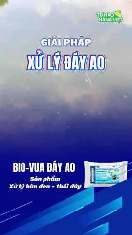 #nuoitom #thuysan #visinh #biovuadayao #quangcanh 