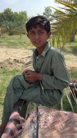 چیف سردار جمال خان لغاری ایک چھوٹے لڑکے، کاشف جندانی (قبیلہ کھوسہ) سے بات چیت کر رہے تھے، جو اُن سے ملنے آیا تھا جب وہ اپنے کھجور کے درختوں کو کھاد لگوا رہے تھے۔وہ معصومیت سے آ کر چیف سردار جمال خان لغاری  کے پاس بیٹھ گیا اور ان کے درمیان گفتگو شروع ہو گئی