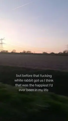 that damn white rabbit // #whiterabbit #Relationship #mentalhealthmatters #viral #pain 