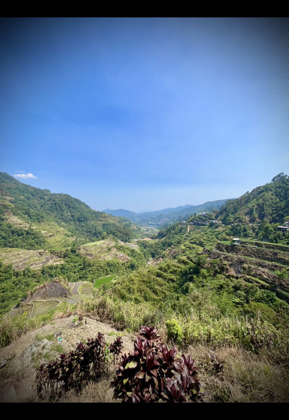 Banaue Rice Terraces, Philippines. 🇵🇭🇵🇭 Drone: Geprc Vapor d5 Camera: DJI 04 air unit pro #drone #itsmorefuninthephilippines🇵🇭 #philippines #banaue #banauericeterraces  @DJI Official @GEPRC