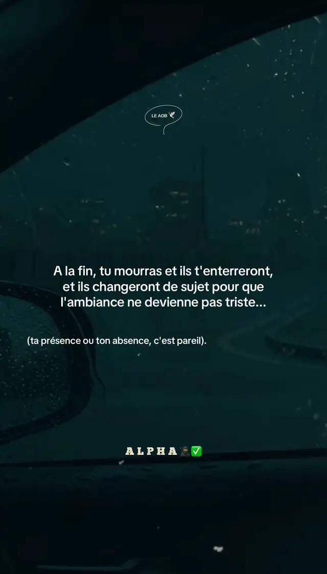 Finalement, tu mourras et ils t'enterreront, avant de changer de sujet pour que la tristesse ne s'installe pas... (Ta présence ou ton absence fait peu de différence). #pourtoi  #motivation  #mindset  #mefiance  #coeurbrisé 