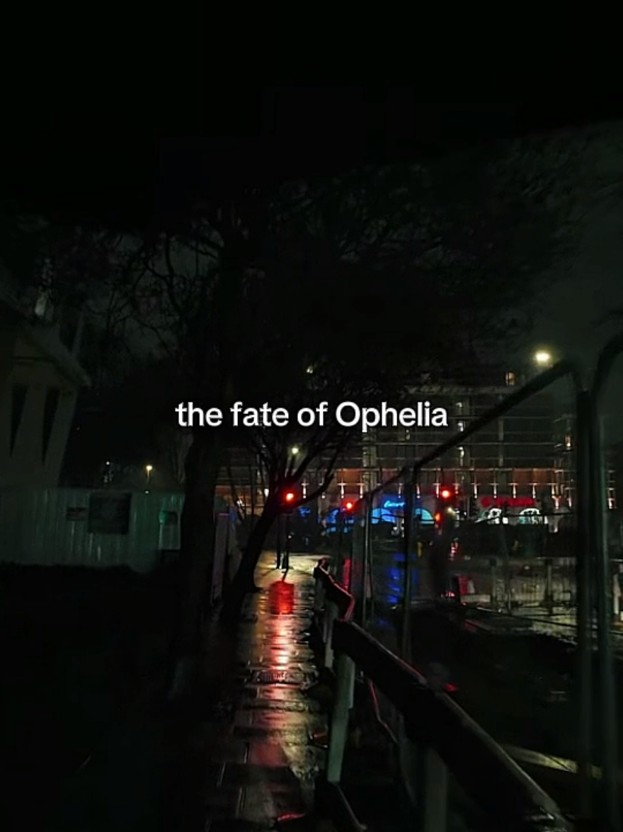 the fate of ophelia >> #taylorswift #ophelia #lyrics #musicvibes #foryou 