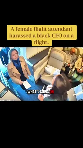 A female flight attendant harassed a black CEO on a flight. #cops #crime #bodycam #foryou #viral 