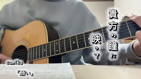 ツアー応援してます🔥 好きな人に見つめられたいよ #弾き語り女子 #cover  #sumika #願い 