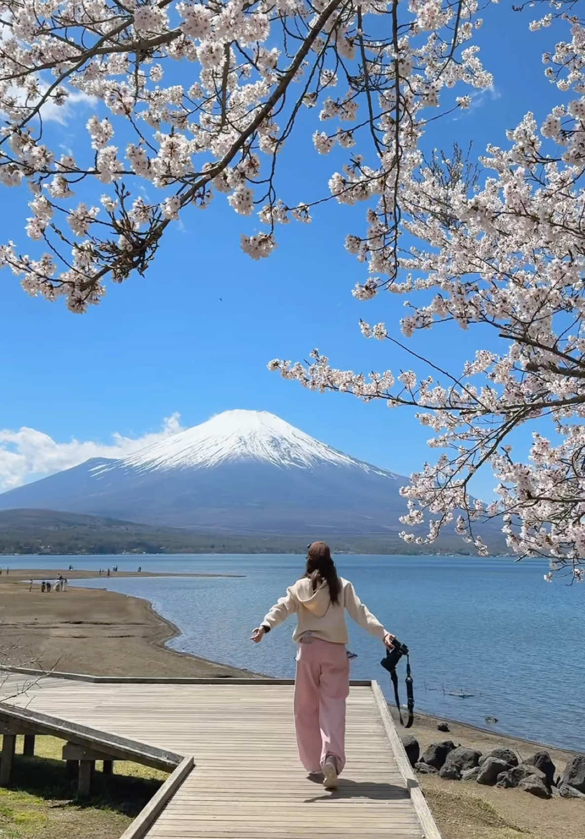 No:1 ตลอดไป 🗻🌸🇯🇵  📍 Lake Yamanaka #富士山 #sakura #yamanaka 