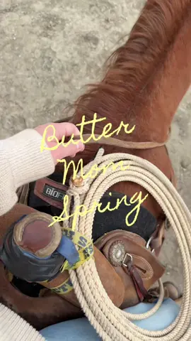 It’s a butter mom spring and that means @Levi’s overalls on repeat, butter yellow and crisp white blouses, sprinkles on EVERYTHING, getting our butts outside, and not shying away from some butter and full fat cream 🙂‍↕️🧈✨ #buttermom #90smom  #springaesthetic  #slowliving  #madefromscratch 