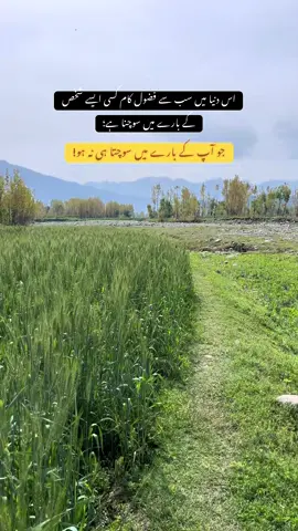 کچھ جنگیں ایسی ہوتی ہیں جو صرف دل کے اندر لڑی جاتی ہیں، بغیر کسی آواز کے… اور انسان جیت بھی جائے تو تھک جاتا ہے… کیونکہ کسی کو معلوم نہیں ہوتا کہ اس نے خود کو کتنی بار سنبھالا ہے۔ پھر وہ دوبارہ جینا سیکھ لیتا ہے🥹❤️‍🩹 . . . . . . . . . . . #pashtolines  #pashtosong  #1millionaudition  #unfrezzmyaccount  #creatorsearchinsight 