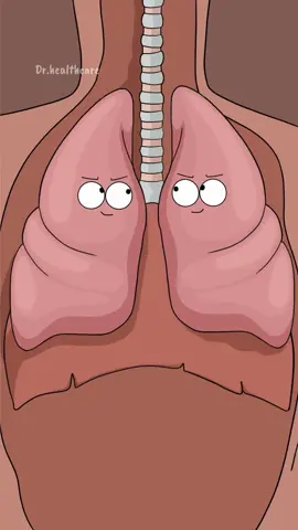 How Asthma Inhalers Work