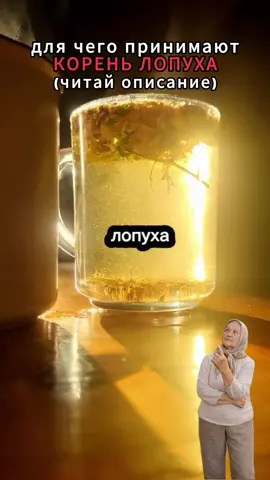 Милые мои… корень лопуха применяют уже много лет — и не просто так. 🌿 Когда организм начинает “подавать сигналы” — тяжесть, усталость, отёки, дискомфорт после еды — это значит, что ему нужна поддержка. 💧 Для чего чаще всего используют корень лопуха: 1️⃣ Поддержка пищеварения Помогает ощущению лёгкости после еды 2️⃣ Общее самочувствие Поддерживает организм при ощущении перегрузки 3️⃣ Водный баланс Используется в народной практике при склонности к отёкам 4️⃣ Состояние кожи При внутреннем дисбалансе часто отражается на коже 5️⃣ Обменные процессы 🌿 Помогает мягко поддерживать внутренний баланс организма Я сама раньше не придавала значения таким простым вещам, но когда начала поддерживать организм — заметила, что самочувствие стало намного легче. 💚 Если хотите поддержать организм: экстракт корня лопуха — арт: #WW332832 (скопируйте и вставьте в поиск на WB) 🌿 Подробнее можно посмотреть на visterra.market 🎁 Для вас действует скидка 15% по промокоду добро15