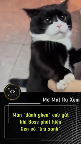 Màn 