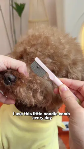 2-Piece Pet Face Comb Set 🧹Small comb for eye corners, large comb for face and body. Use them together for better results! It cleans areas tissues can’t wipe well, so no more daily face washing needed!#DogCareMustHaves #PetFurCare #SmallFaceComb #DogComb #PetFaceComb