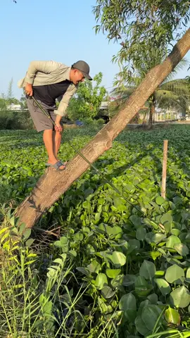 Có kem chống nắng này là không sợ nắng nữa 