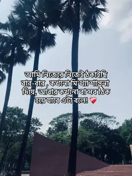 আমি নিজেরে নিজেই ঠকাইছি বার-বার , কখনো মি'থ্যা শান্ত্বনা দিয়ে, আবার কখনো বা সব ঠিক হয়ে যাবে এটা বলে!❤️‍🩹                 #fyp #fyppppppppppppppppppppppp #sad #caption #shawon_bhaiya 