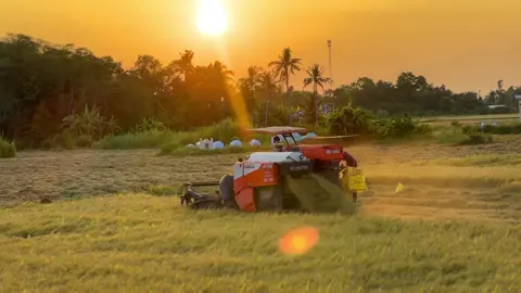 Nét đẹp của nghề🥰#xuhuongtiktok #maycatlienhop