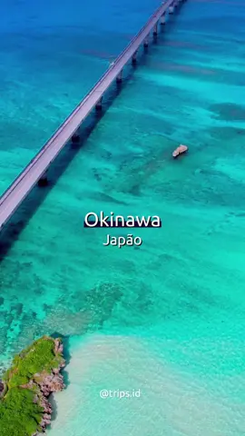 Águas tão claras que parecem filtro… mas é só Okinawa sendo surreal mesmo 💙🏝️ Além do visual paradisíaco, Okinawa guarda um segredo impressionante: é uma das “Zonas Azuis” do mundo, onde as pessoas vivem muito mais e melhor. Por lá, não é raro encontrar centenários com uma vida ativa: resultado de uma alimentação equilibrada, forte senso de comunidade e o famoso “ikigai”, o propósito de vida. Um destino que vai muito além das praias ✨ Você já conhecia essa curiosidade? 👀 #Okinawa #Japão #ViagemComPropósito #ZonasAzuis #QualidadeDeVida     