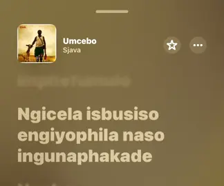 #sjavaumcebo 