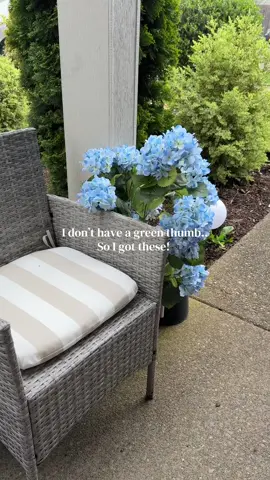 3 foot tall faux hydrangeas 🥹 absolutely beautiful & I don’t have to remember to water them 🤌🏼..  #fauxhydrangea #hydrangeas #spring #springdecor #porchdecor 