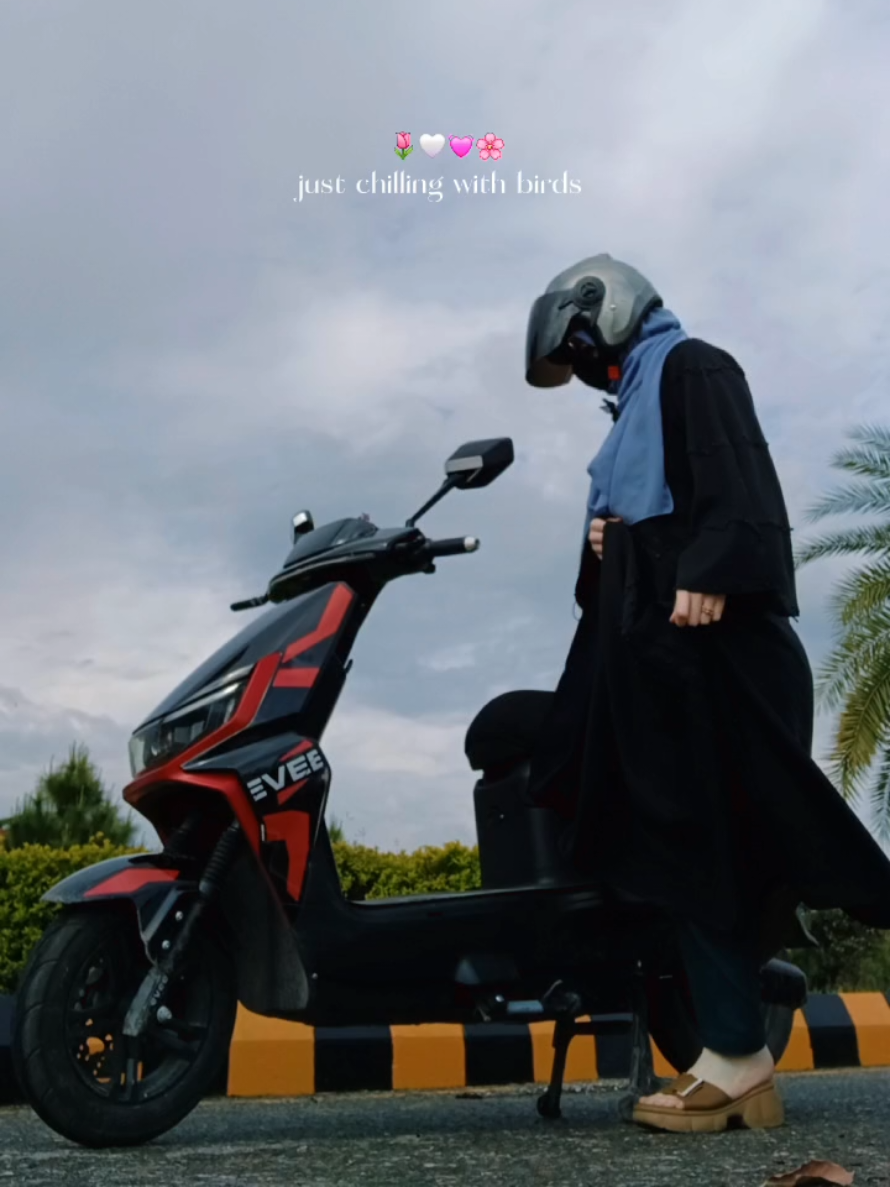 chilling 😂 . . . . . . . . . . . . #sticker #forgirls #electricbike #TRIP #flower 