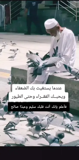 #دمتم_بالخير_والسعاده_اينما_كنتم #الصدقة_تزيد_الرزق #اكسبلور #تيك_توك #اكسبلور 