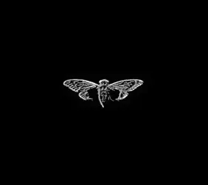 Cicada 3301 edit #ezemartinez #matematica #edit #puzzle #imposible @🚀 Eze Martinez 