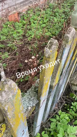 #одноувлечениенадвоих #деревенскаАтмосфера #деревенскийвайб #заброшеннаядеревня #старыйдом 