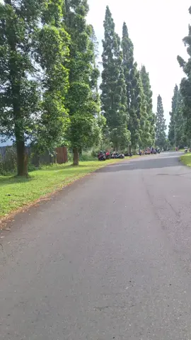 kalian klu ke puncak lebih suka lewat bukit pelagi apa summarecon? aku, kamu dan bukit pelagi #jalanjalan #motoran #bukitpelangi #puncak #bogorhits 