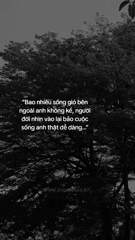 #onggia6_87 #capcut #trengding #suhuongtiktok #fypシ 