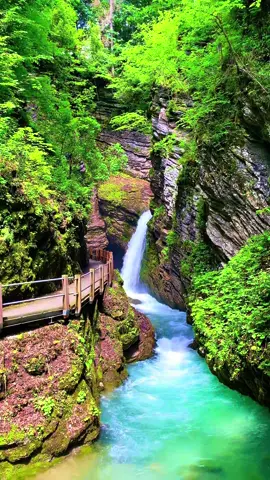 Beautiful Swiss Nature🍀🌸🌼 #swiss #switzerland🇨🇭 #switzerland #schweiz #suica 