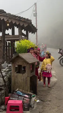 Nhớ Hà Giang rồi! Có ai mà không nhớ? #hagiang #thangco #docthamma #lolochai #hagiangoi 