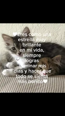 PARA MI BEBE#parejas#dedicar#muchoamor#amoaminv#tiktokponmeenparati 