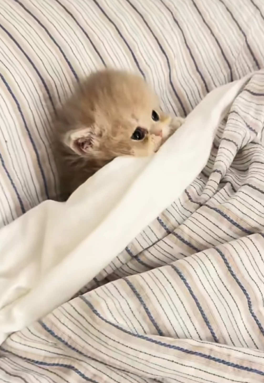 😍😍😴😴