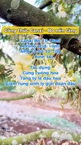 Công thức phun canxi bổ hiệu quả nhất #saurieng #chamsoccaytrong #caytrong 
