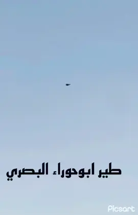 رختر طير ابو حوراء البصري // نازل في مزاد حمدان ابو حازم يوم الخميس  الاب : صخري ( الكاس دهشـة )  الام : شذري بو غلاب + ماشي ابو وضاح +الشذريـة + بنت حرق عبدالله عاشور . . . . . . .#حمام_البصرة #حمام_لوت_البصره ##حمام_لوت_الكويت #pyfツ 