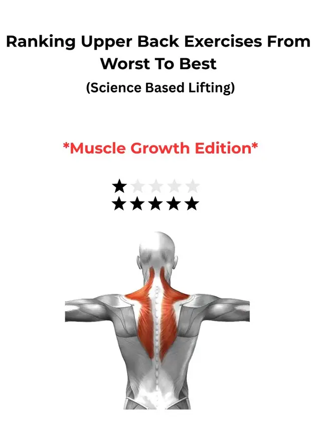 full breakdown to which upper back movements are most beneficial for muscle growth. chest supported stability and fixed arm path are some of the main factors to look for when choosing an upper back exercise #gym #bodybuilding #lifting #advice #fyp 