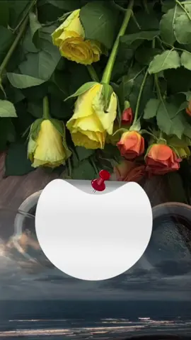 صباحكم خير وسعاده 🤍🌹 ✨ #دعاء_الصباح #اصبحنا_واصبح_الملك_لله #اللهم_صبحنا_صباحآ_تنشرح_فيه_الصدور #fup #foryou 