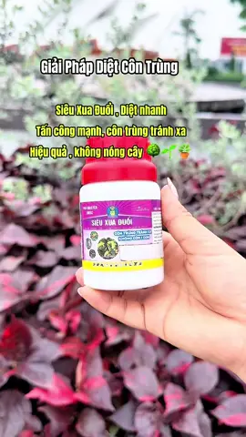 ⚠️ Giải Pháp Diệt Côn Trùng  Siêu Xua Đuổi , Diệt nhanh Tấn công mạnh, côn trùng tránh xa Hiệu quả , không nóng cây 🌳🌱🪴#sieuxuaduoi #dietcontrung #botri #phanbon #nongnghiep  
