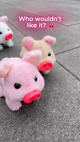 🐷🐷🐷#toy #cute #pig #funnytiktok #tiktokshop 