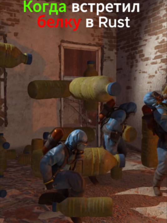 белочка чи кто🐰 BestRust — мой промик «sran10» #раст #rust #белочка #bestrust #bestrustservers
