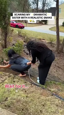 fake snake prank 😂 #prank #scared #funny #snake #fyp 