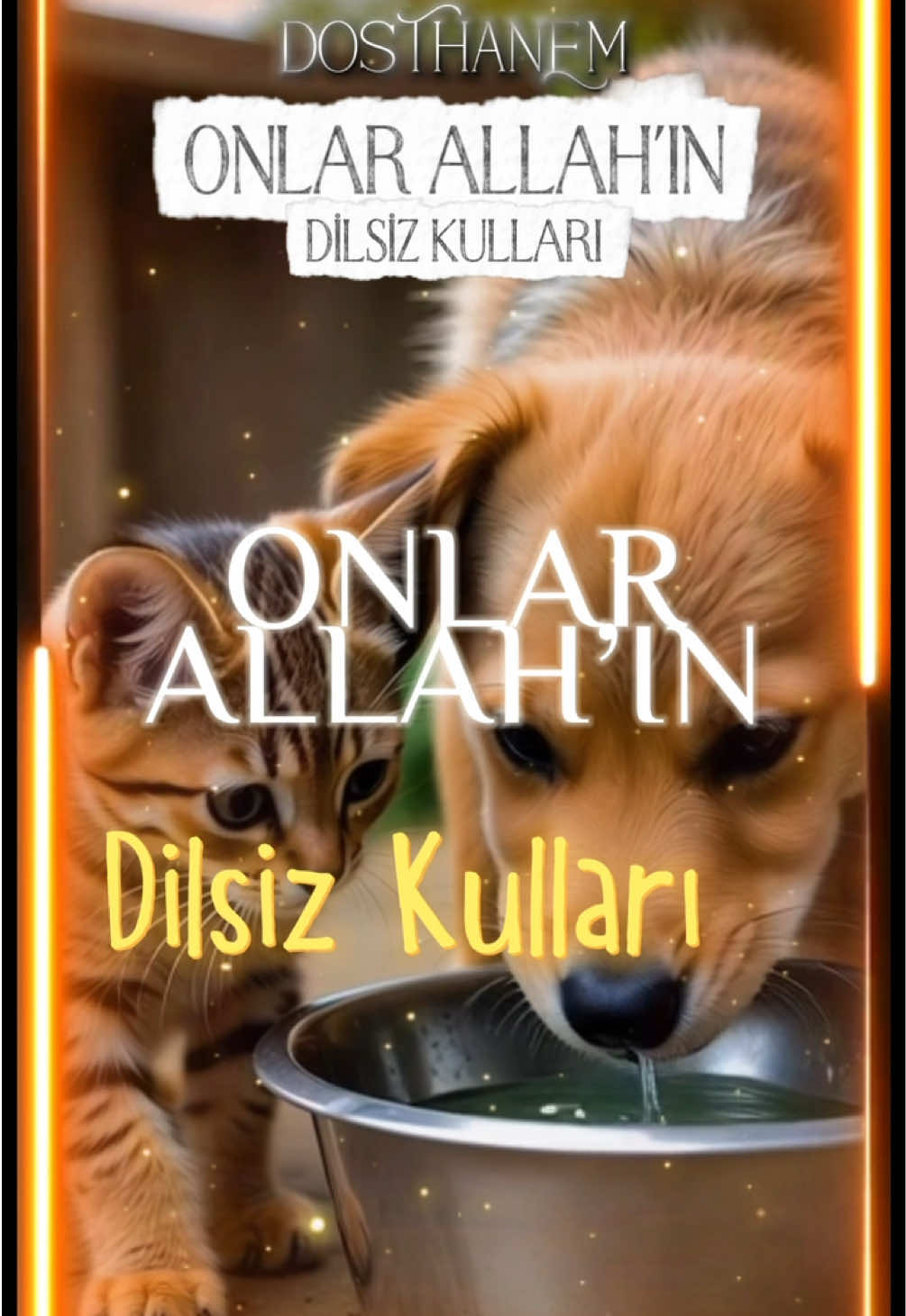 Allah’ın Dilsiz Kulları! #islam #keşfet #sokakhayvanları #dinivideolar #keşfetteyizzz 
