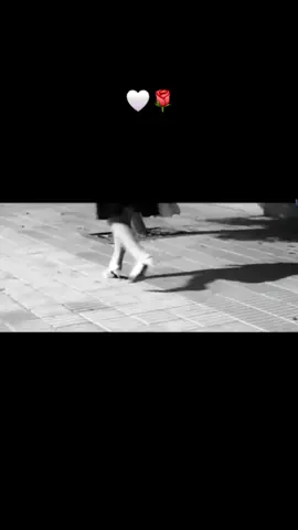 #الزمن_الجميل #هاني_شاكر #سعاد_حسني #حسن_يوسف #السندريلا 